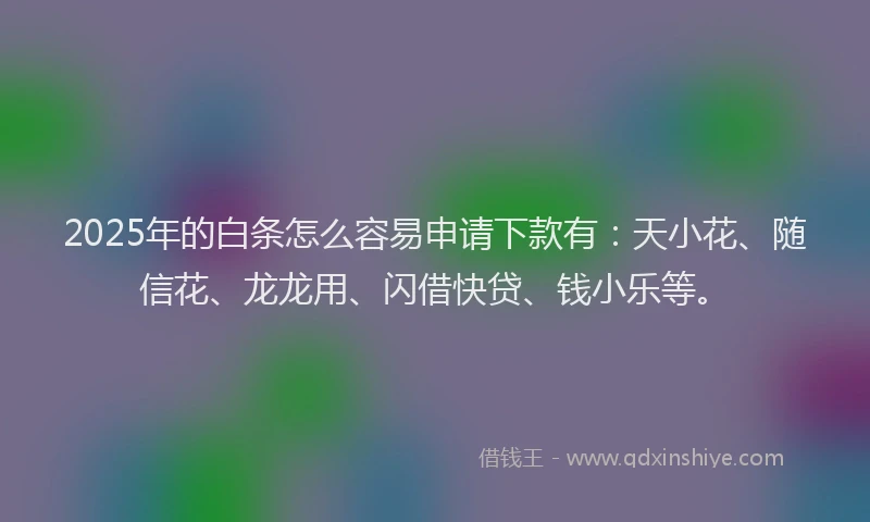 2025年的白条怎么容易申请下款有：天小花、随信花、龙龙用、闪借快贷、钱小乐等。