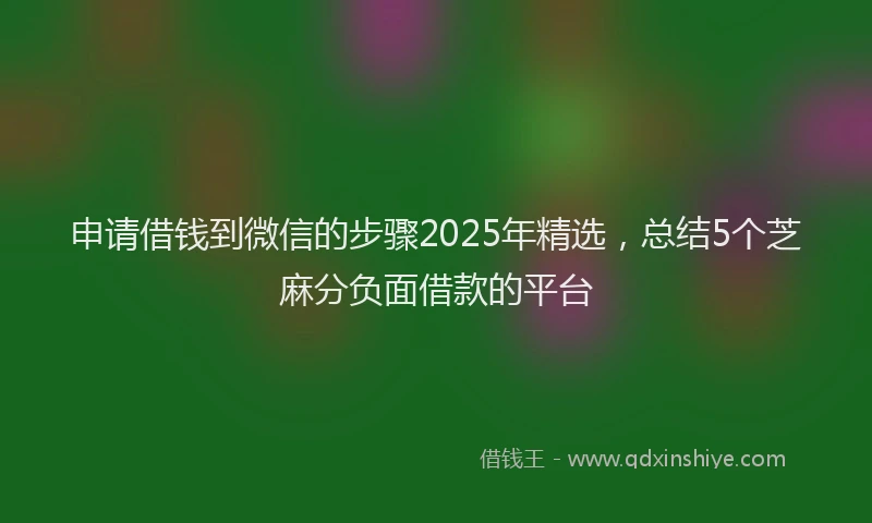 申请借钱到微信的步骤2025年精选，总结5个芝麻分负面借款的平台