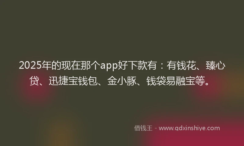 2025年的现在那个app好下款有：有钱花、臻心贷、迅捷宝钱包、金小豚、钱袋易融宝等。