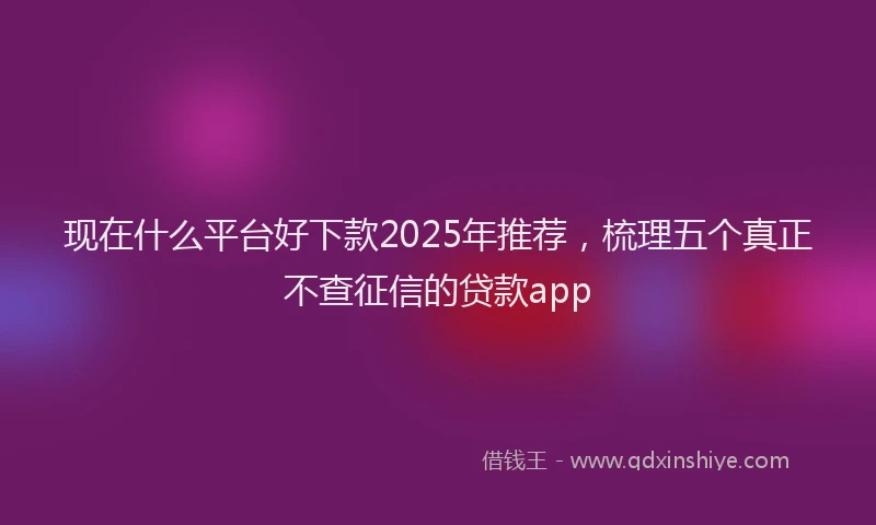 现在什么平台好下款2025年推荐，梳理五个真正不查征信的贷款app