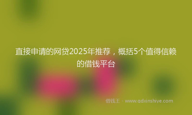直接申请的网贷2025年推荐，概括5个值得信赖的借钱平台