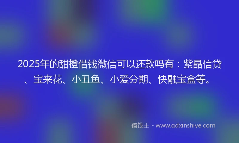 2025年的甜橙借钱微信可以还款吗有：紫晶信贷、宝来花、小丑鱼、小爱分期、快融宝盒等。