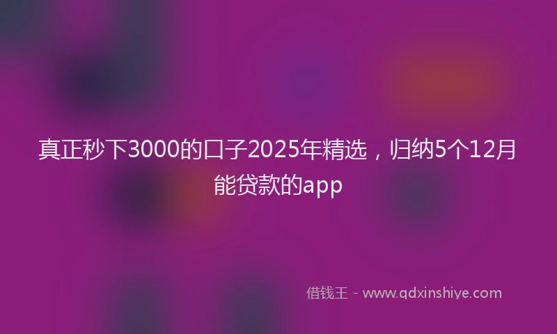 真正秒下3000的口子2025年精选，归纳5个12月能贷款的app