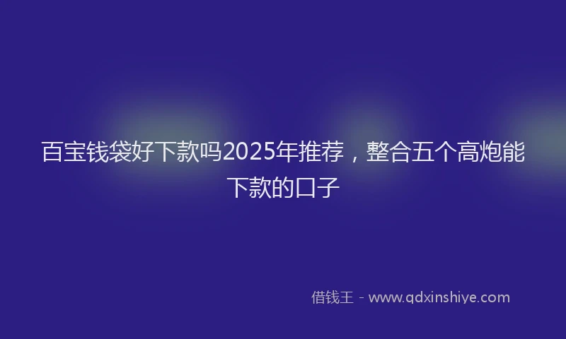 百宝钱袋好下款吗2025年推荐，整合五个高炮能下款的口子