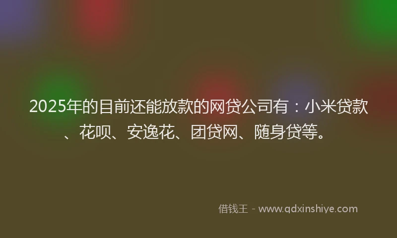 2025年的目前还能放款的网贷公司有：小米贷款、花呗、安逸花、团贷网、随身贷等。