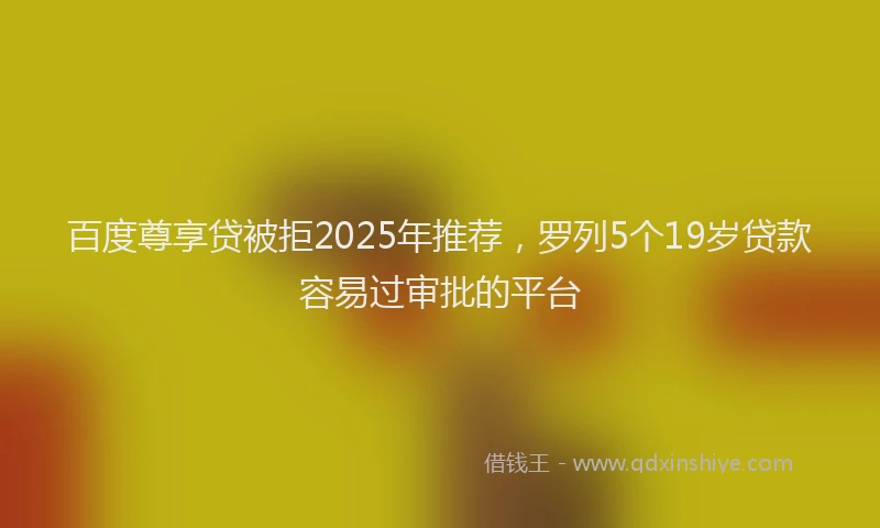 百度尊享贷被拒2025年推荐，罗列5个19岁贷款容易过审批的平台