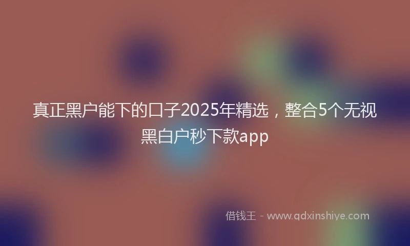真正黑户能下的口子2025年精选，整合5个无视黑白户秒下款app