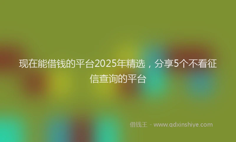 现在能借钱的平台2025年精选，分享5个不看征信查询的平台