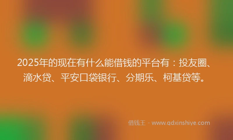 2025年的现在有什么能借钱的平台有：投友圈、滴水贷、平安口袋银行、分期乐、柯基贷等。