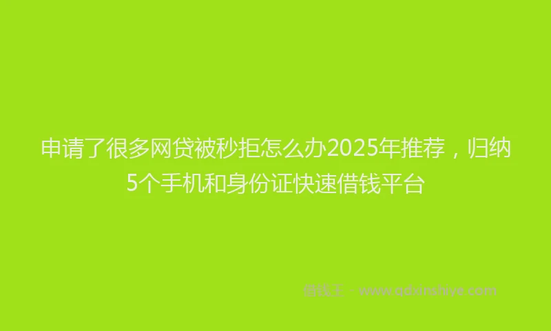 申请了很多网贷被秒拒怎么办2025年推荐，归纳5个手机和身份证快速借钱平台