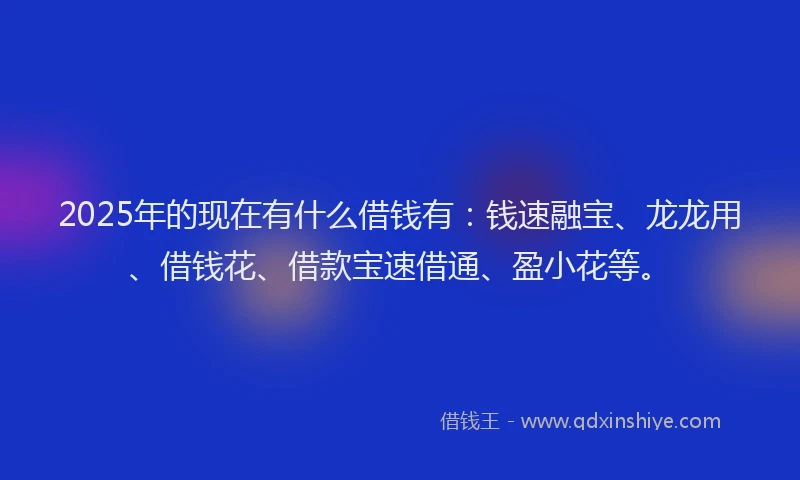 2025年的现在有什么借钱有：钱速融宝、龙龙用、借钱花、借款宝速借通、盈小花等。