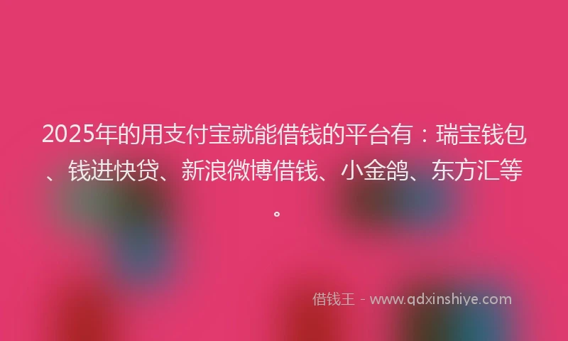 2025年的用支付宝就能借钱的平台有：瑞宝钱包、钱进快贷、新浪微博借钱、小金鸽、东方汇等。