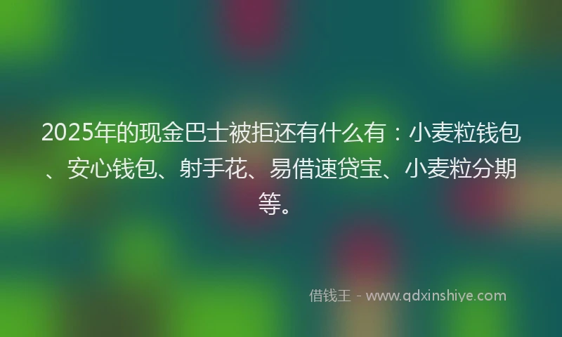 2025年的现金巴士被拒还有什么有：小麦粒钱包、安心钱包、射手花、易借速贷宝、小麦粒分期等。