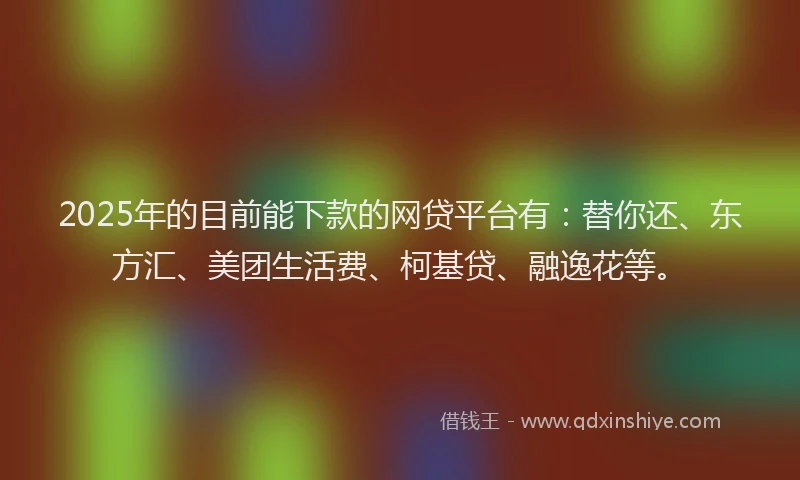 2025年的目前能下款的网贷平台有：替你还、东方汇、美团生活费、柯基贷、融逸花等。