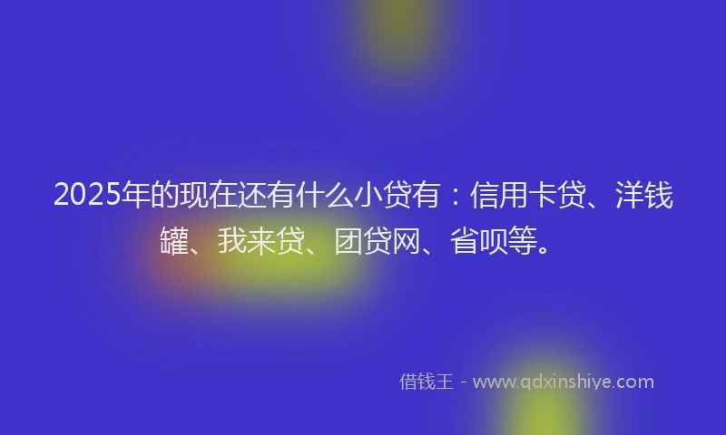2025年的现在还有什么小贷有：信用卡贷、洋钱罐、我来贷、团贷网、省呗等。