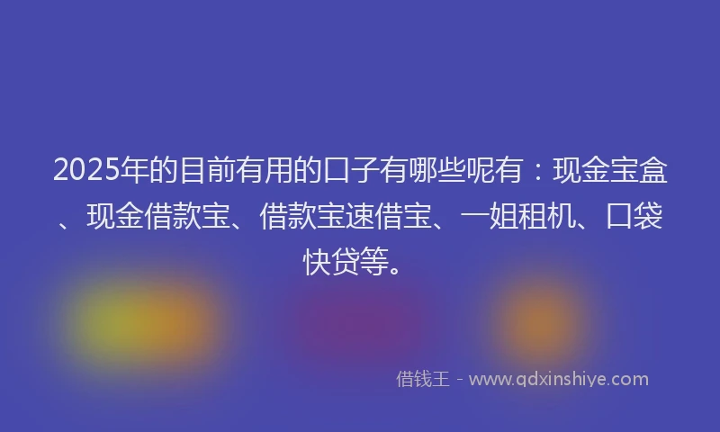 2025年的目前有用的口子有哪些呢有：现金宝盒、现金借款宝、借款宝速借宝、一姐租机、口袋快贷等。