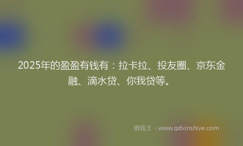 2025年的盈盈有钱有：拉卡拉、投友圈、京东金融、滴水贷、你我贷等。