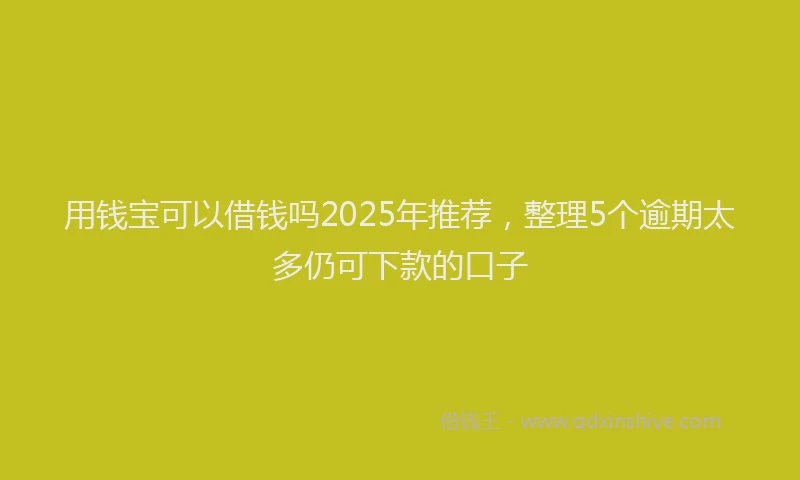 用钱宝可以借钱吗2025年推荐，整理5个逾期太多仍可下款的口子