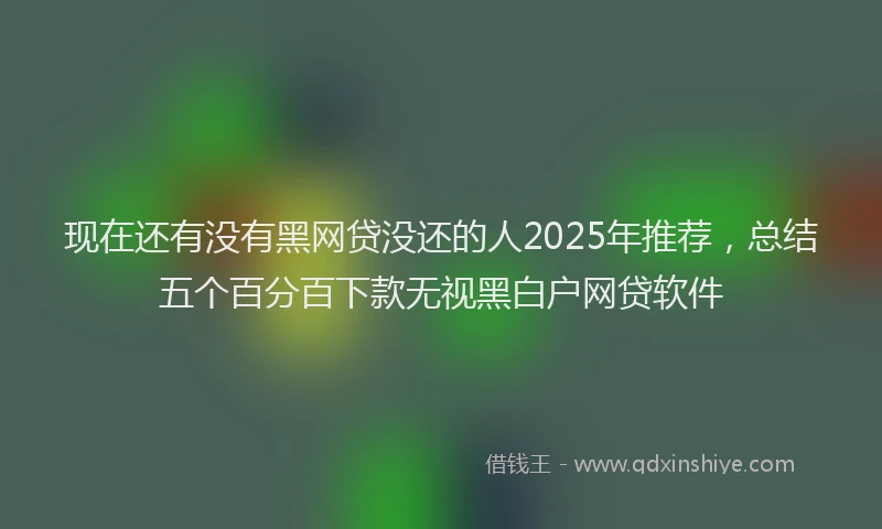 现在还有没有黑网贷没还的人2025年推荐，总结五个百分百下款无视黑白户网贷软件