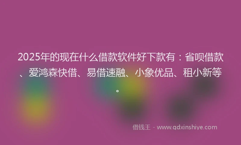 2025年的现在什么借款软件好下款有：省呗借款、爱鸿森快借、易借速融、小象优品、租小新等。