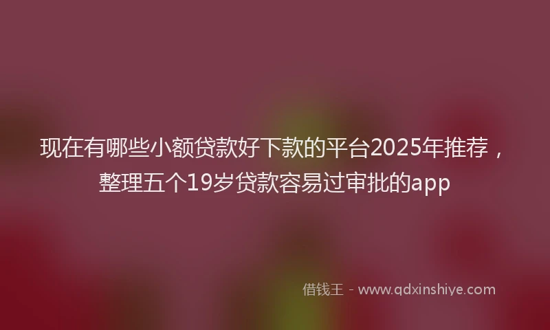 现在有哪些小额贷款好下款的平台2025年推荐，整理五个19岁贷款容易过审批的app