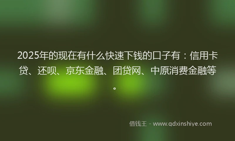 2025年的现在有什么快速下钱的口子有：信用卡贷、还呗、京东金融、团贷网、中原消费金融等。