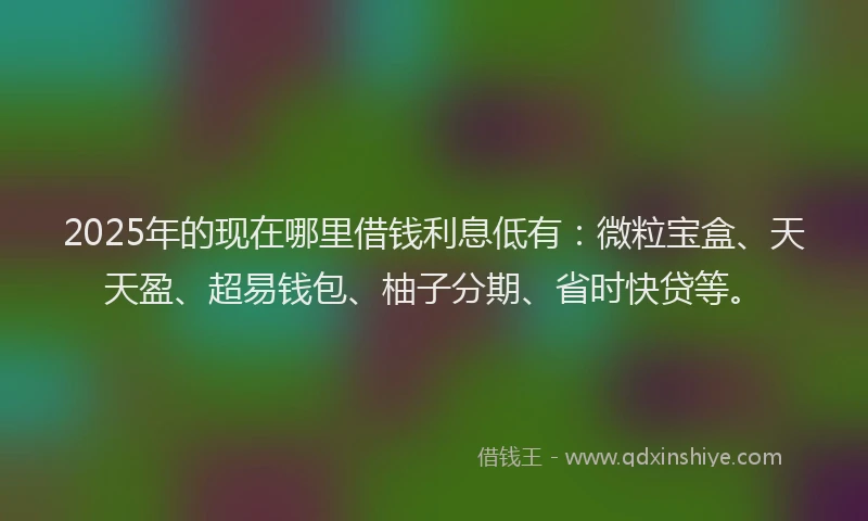2025年的现在哪里借钱利息低有：微粒宝盒、天天盈、超易钱包、柚子分期、省时快贷等。