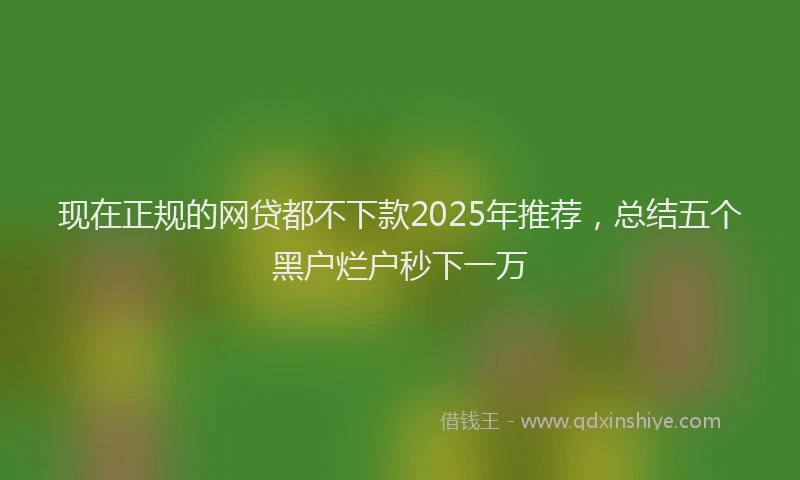 现在正规的网贷都不下款2025年推荐，总结五个黑户烂户秒下一万