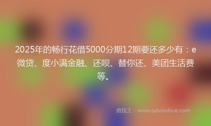 2025年的畅行花借5000分期12期要还多少有：e微贷、度小满金融、还呗、替你还、美团生活费等。