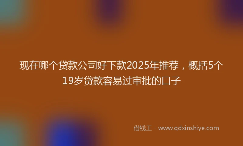 现在哪个贷款公司好下款2025年推荐，概括5个19岁贷款容易过审批的口子