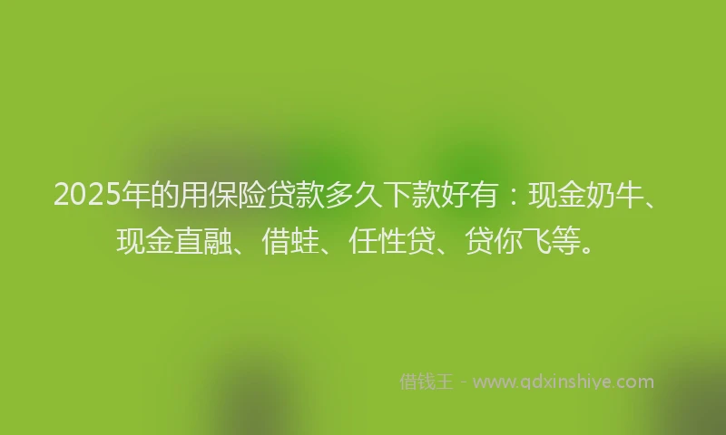 2025年的用保险贷款多久下款好有：现金奶牛、现金直融、借蛙、任性贷、贷你飞等。