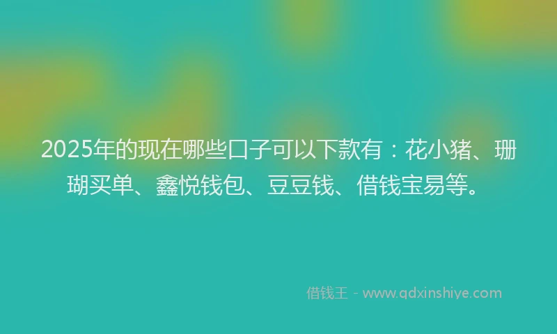 2025年的现在哪些口子可以下款有：花小猪、珊瑚买单、鑫悦钱包、豆豆钱、借钱宝易等。