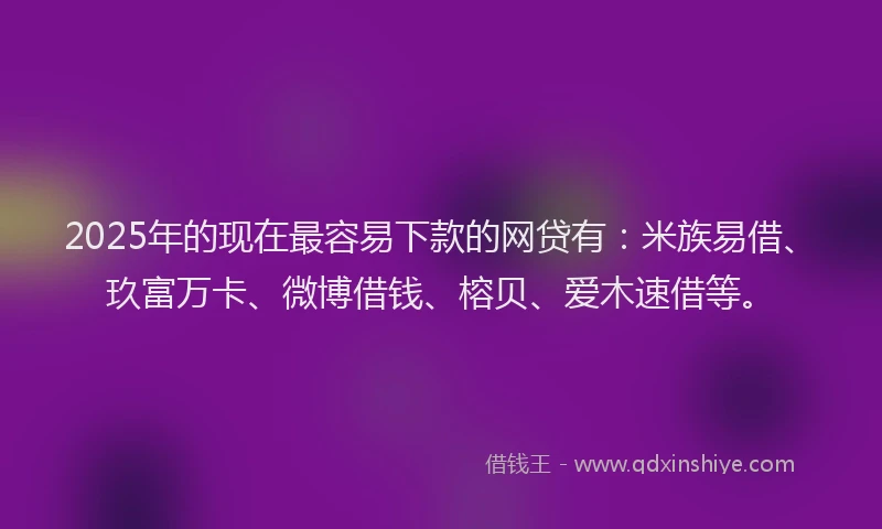 2025年的现在最容易下款的网贷有：米族易借、玖富万卡、微博借钱、榕贝、爱木速借等。