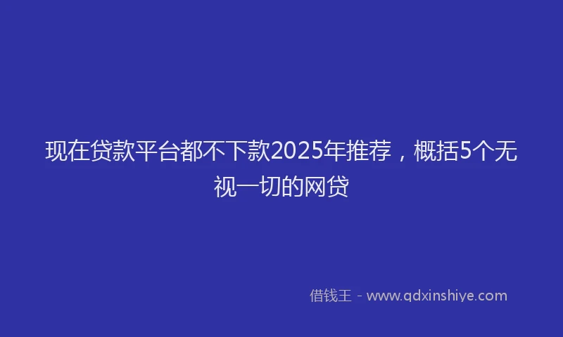 现在贷款平台都不下款2025年推荐，概括5个无视一切的网贷