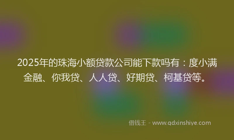 2025年的珠海小额贷款公司能下款吗有：度小满金融、你我贷、人人贷、好期贷、柯基贷等。