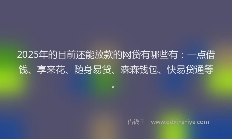 2025年的目前还能放款的网贷有哪些有：一点借钱、享来花、随身易贷、森森钱包、快易贷通等。