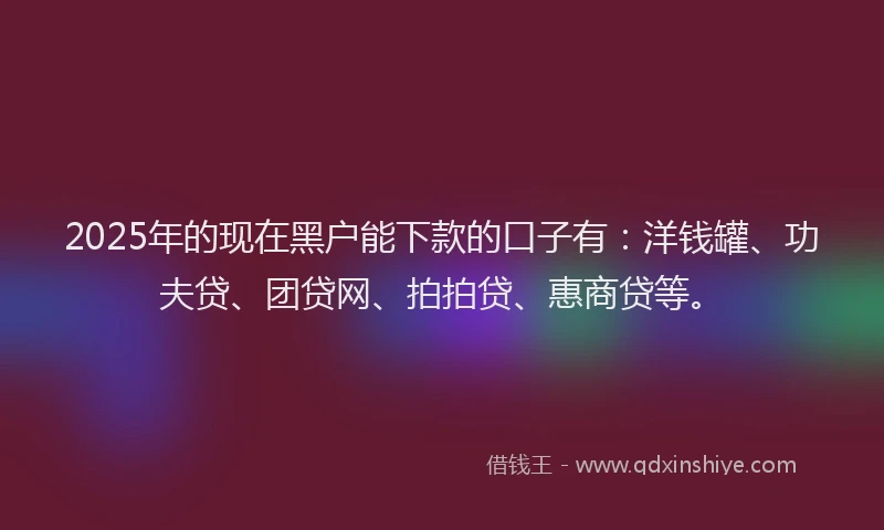2025年的现在黑户能下款的口子有：洋钱罐、功夫贷、团贷网、拍拍贷、惠商贷等。