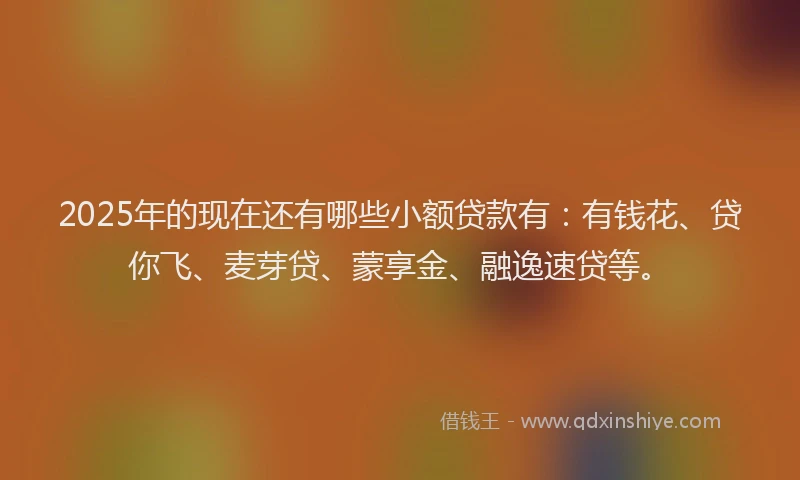 2025年的现在还有哪些小额贷款有：有钱花、贷你飞、麦芽贷、蒙享金、融逸速贷等。