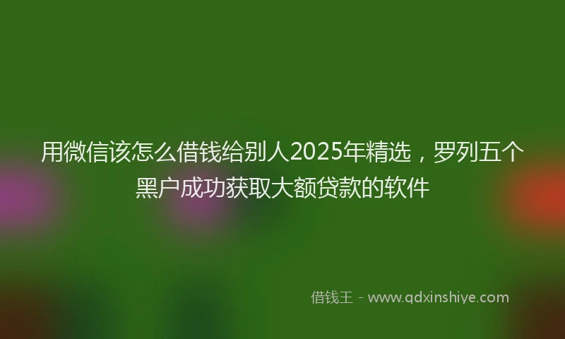 用微信该怎么借钱给别人2025年精选，罗列五个黑户成功获取大额贷款的软件