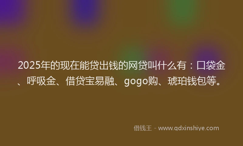 2025年的现在能贷出钱的网贷叫什么有：口袋金、呼吸金、借贷宝易融、gogo购、琥珀钱包等。
