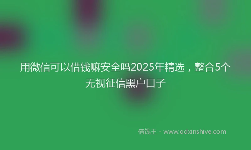 用微信可以借钱嘛安全吗2025年精选，整合5个无视征信黑户口子