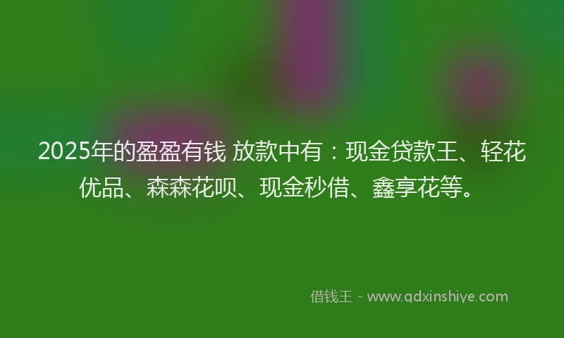 2025年的盈盈有钱 放款中有：现金贷款王、轻花优品、森森花呗、现金秒借、鑫享花等。