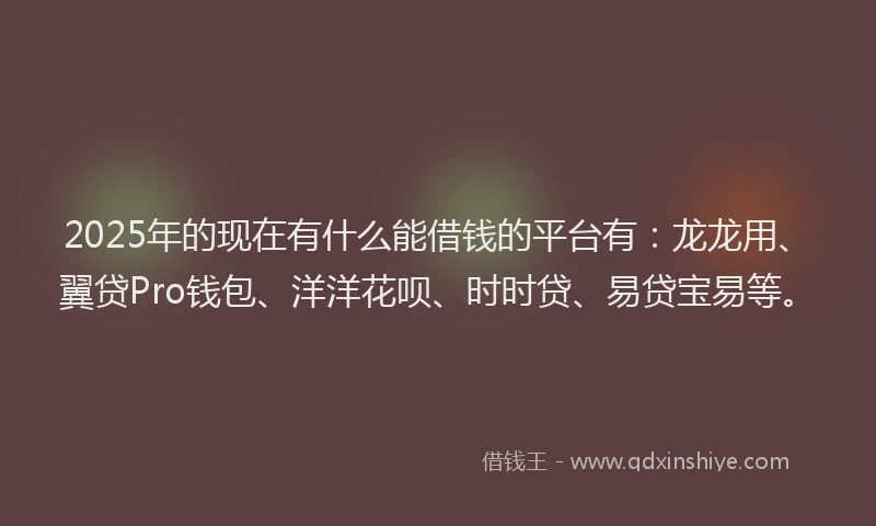 2025年的现在有什么能借钱的平台有：龙龙用、翼贷Pro钱包、洋洋花呗、时时贷、易贷宝易等。