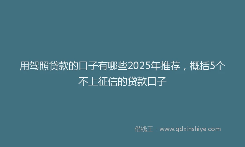 用驾照贷款的口子有哪些2025年推荐，概括5个不上征信的贷款口子