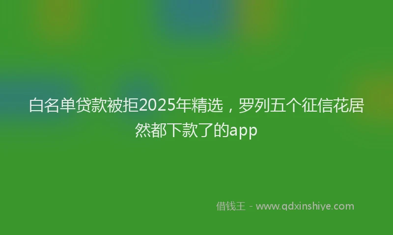 白名单贷款被拒2025年精选，罗列五个征信花居然都下款了的app