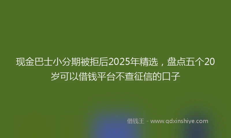 现金巴士小分期被拒后2025年精选，盘点五个20岁可以借钱平台不查征信的口子