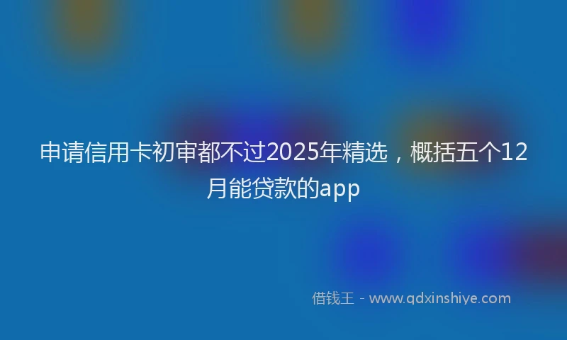 申请信用卡初审都不过2025年精选，概括五个12月能贷款的app