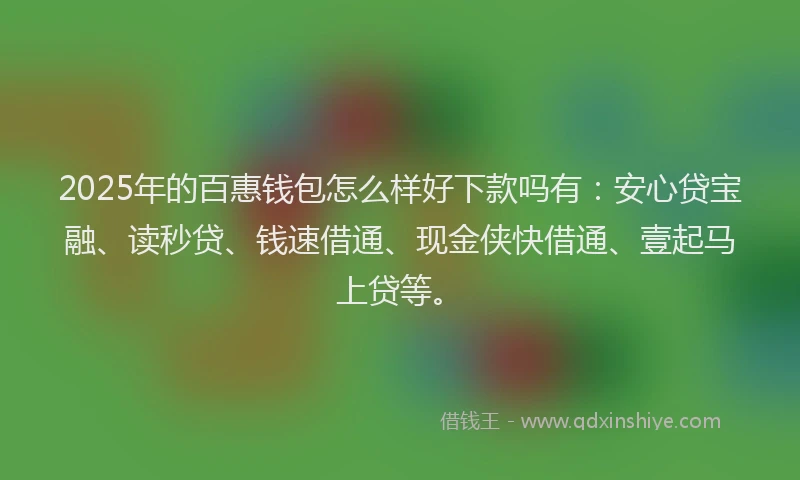 2025年的百惠钱包怎么样好下款吗有：安心贷宝融、读秒贷、钱速借通、现金侠快借通、壹起马上贷等。