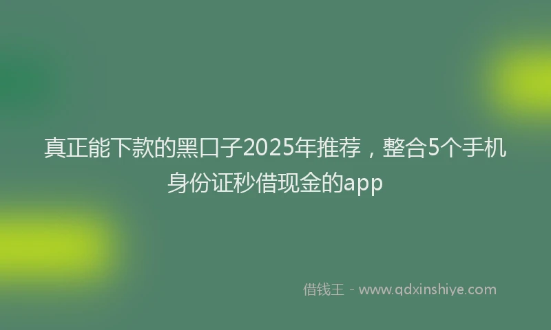 真正能下款的黑口子2025年推荐，整合5个手机身份证秒借现金的app