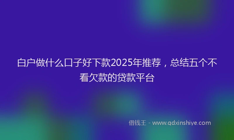 白户做什么口子好下款2025年推荐，总结五个不看欠款的贷款平台
